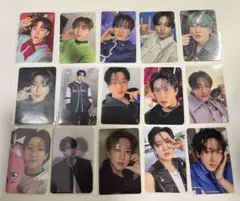 straykids チャンビン15枚セット