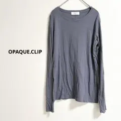 オペークドットクリップ 細リブ ロングTシャツ ブルーグレー M