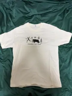 ALSTYLE Ｔシャツ　Mサイズ相当のサムネイル