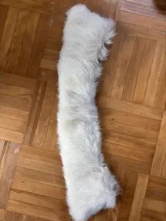 Item thumbnail for item 8707839f-163f-4d76-b5e8-b7af7a274994