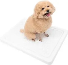 INULABO(イヌラボ) 犬 トイレ トレー 小・中型犬 Mサイズ ホワイトのサムネイル