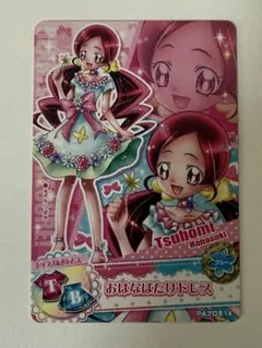 サボテン様専用データカードダス ハートキャッチ プリキュア PAプロモ 