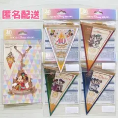 TDR 40周年 ミニー バッグチャーム ガーランド 5点セット 匿名配送