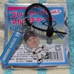 読売ジャイアンツ 石川達也選手 プレイヤーズマルチチャーム vol.1