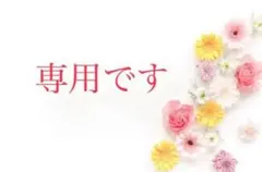 専用