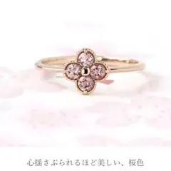 2025年最新】bizoux アナイスの人気アイテム - メルカリ