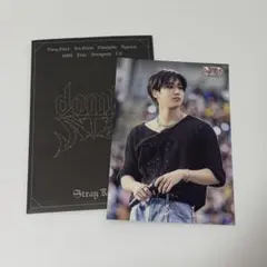 StrayKids スキズ ハン dominATE VRライブ ランダムトレカ③