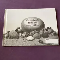 On my beach there are many pebbles 児童洋書