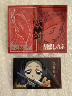 鬼滅の刃 好き ランダムチェキ風ブロマイド 冨岡義勇 胡蝶しのぶ