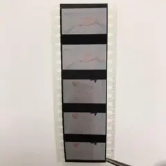 五等分の花嫁　映画　入場特典　 コマフィルム　結婚式　花嫁　コマ変化