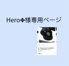 Hero✤様専用ページ