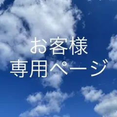 tiger03様 リクエスト 3点 まとめ商品