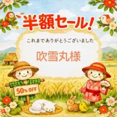 吹雪丸様 リクエスト 3点 まとめ商品