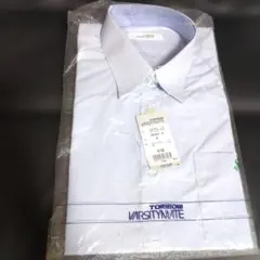 Item thumbnail for item f7b3506b-fa6c-4424-8817-5d56ec46cb21