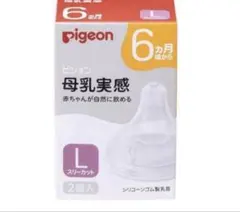 Pigeon ピジョン 母乳実感 乳首6ヵ月 Ｌサイズ