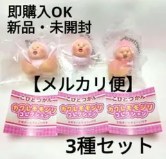 ガチャ/ こびとづかん カクレモモジリコレクション/ 3種セット