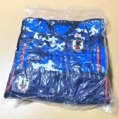 Item thumbnail for item 625d8dc2-f94e-457b-a87e-fcbc377823de