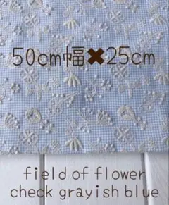 2026年最新】菊池亜希子 ミナペルホネンの人気アイテム - メルカリ