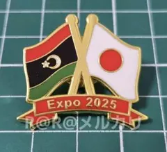 大阪関西万博 EXPO2025チリパビリオン ピン非売品新品 カードセ - メルカリ