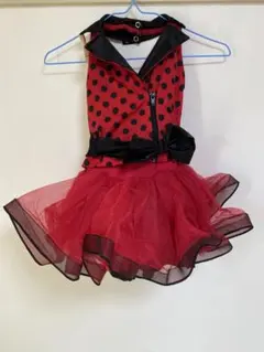 Item thumbnail for item 009eae48-fbd0-4cda-acbc-d43f72b31b01