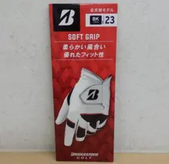 Item thumbnail for item 087696a9-ba04-4b8e-b965-86ff7532270c