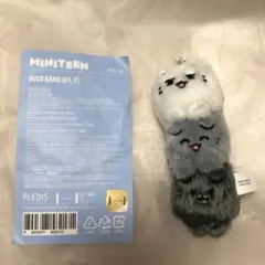 seventeen ミニティーン　ヨルダッチャム　ジュン　セット　JUN MINITEEN ジュン ミニ ムード ランプ ヨルダッチャム ミニティーン