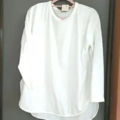 ✨新品✨タグ付き♡ｅａｒｔｈラウンドヘムカットチュニック：オフホワイト（Ｆ）