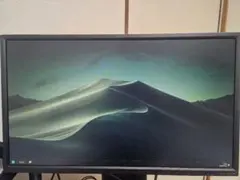 Acer 270Hzゲーミングモニター XV241YX【画面ノイズあり】ジャンク Acer 270Hzゲーミングモニター XV241YX【画面ノイズあり】ジャンク