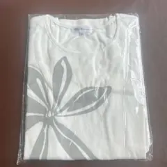 Item thumbnail for item 84cdf00d-80ed-41f3-936a-25526d67ddf7