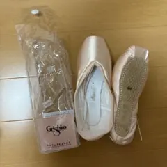 グリシコ マヤ2