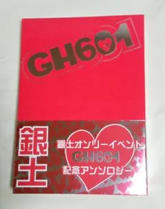 銀魂 同人誌 銀土アンソロジー GH601
