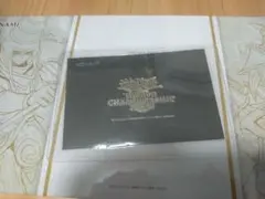 未開封】WCS 2024 シアトル入場特典 セレブレーションイベント記念品