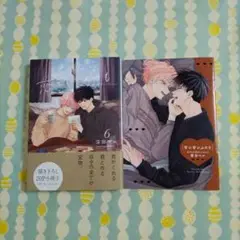 〖最新刊〗君となら恋をしてみても ⑥ 小冊子