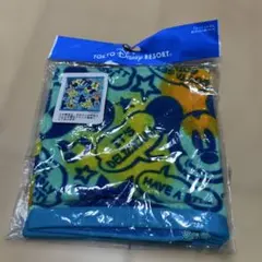 ディズニー ミニタオル タオルハンカチ ミッキー TDR グリーン ブルー