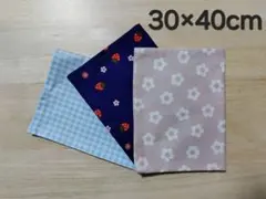 Item thumbnail for item b2c28866-59f0-4bda-94d0-ea4960c302d3