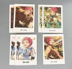 斎宮宗　ぱしゃっつ　まとめ売り