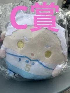 ハイキュー　ぬいくじ　星海光来　C賞