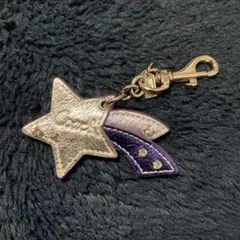 【美品】COACH コーチ キーホルダー チャーム 星型 シルバー パープル