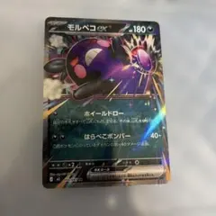 モルペコex HP180 ポケモンカード - メルカリ