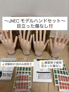 ☆指折れなし☆認定モデルハンド 左右セット TAT - ST - ◇モデルハンド 左手