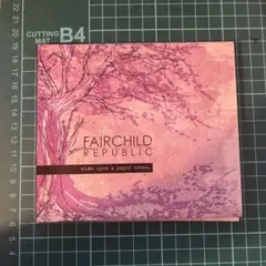 FAIRCHILD REPUBLIC wish upon a paper