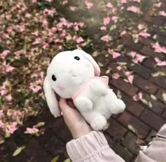 だるま様専用