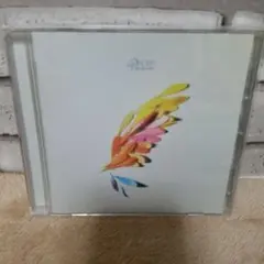 AKIBO＊プロフ必読＊様 リクエスト 2点 まとめ商品