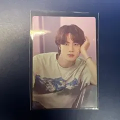 BTS SOWOOZOO JIN ジン ミニフォト