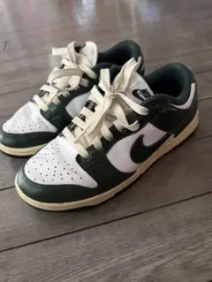 Nike wmns dunk low vintage green