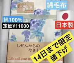 6✳️①ブレイヴ 泉州国産プリント　綿毛布 23-2848-085
