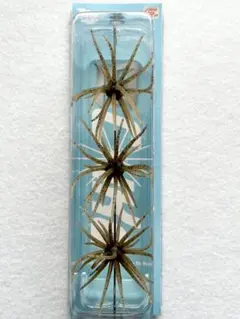 Item thumbnail for item 59260f66-034b-45ad-b3cf-c0f5b0534dba