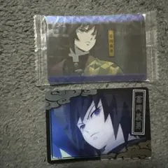 冨岡義勇 アニメカードセット