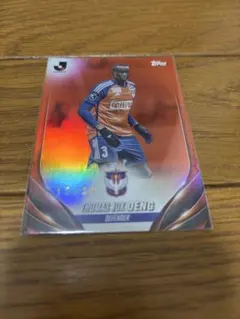 Item thumbnail for item de9551f2-d024-4c89-b434-44522d460952