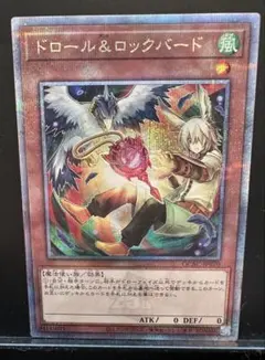 ドロール&ロックバード　絵違い　25th